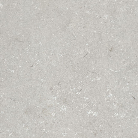 Ladrilho de grés para pavimento 60x120 cm, cinzento claro mate, A4H1093 Shellstone Bianco #3
