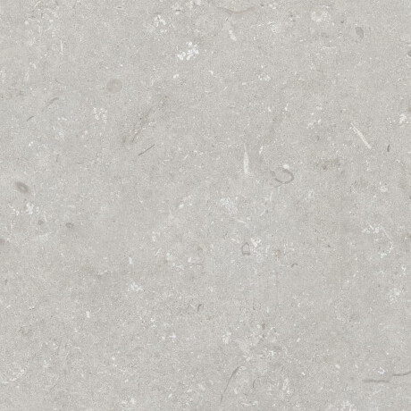 Ladrilho de grés para pavimento 60x120 cm, cinzento claro mate, A4H1093 Shellstone Bianco #5