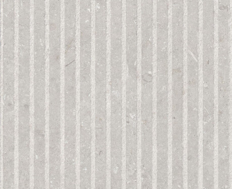 Azulejo de grés para parede 60x120 cm, branco mate, A4H1094 Shellstone Bianco Rigat-One