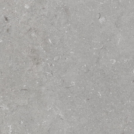 Azulejo de grés para pavimento 60x120 cm cinzento mate A4H1096 Shellstone Grigio #4