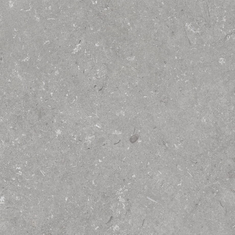 Azulejo de grés para pavimento 60x120 cm cinzento mate A4H1096 Shellstone Grigio #5
