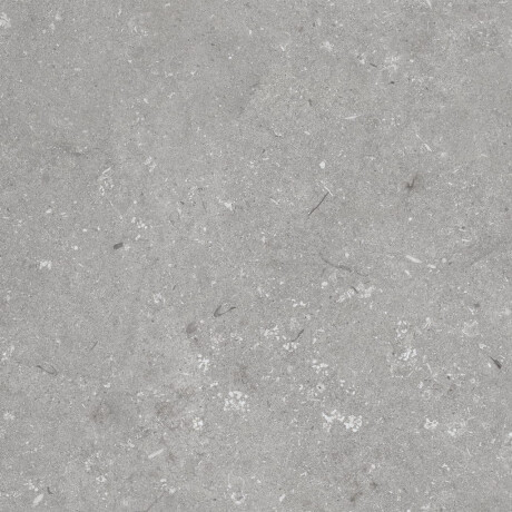 Azulejo de grés para pavimento 60x120 cm cinzento mate A4H1096 Shellstone Grigio #6