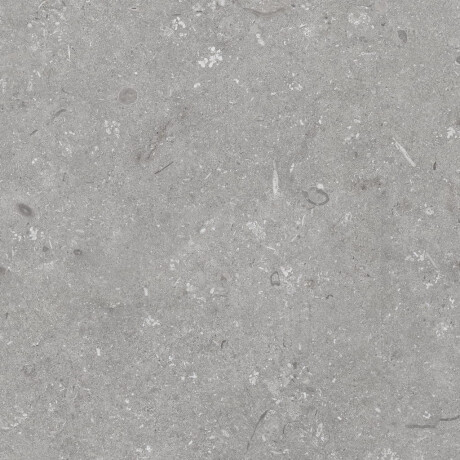 Azulejo de grés para pavimento 60x120 cm cinzento mate A4H1096 Shellstone Grigio #8