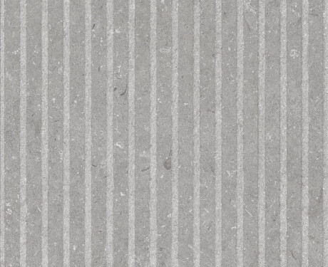 Azulejo de grés para parede 60x120 cm, cinzento mate A4H1097 Shellstone Grigio Rigat-One