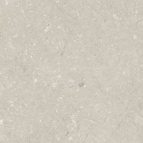 Azulejo de grés para pavimento 60x120 cm, bege mate, A4H1099 Shellstone Beige #4