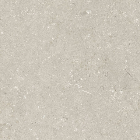 Azulejo de grés para pavimento 60x120 cm, bege mate, A4H1099 Shellstone Beige #6