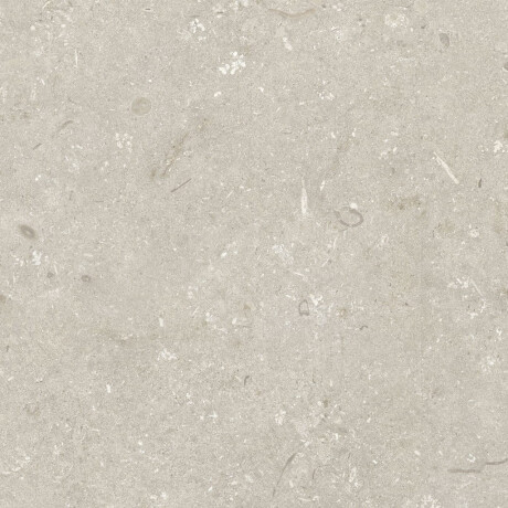 Azulejo de grés para pavimento 60x120 cm, bege mate, A4H1099 Shellstone Beige #7