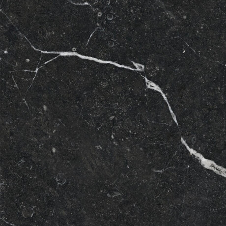Ladrilho esmaltado para pavimento 60x120 com veios dourados, mate, retificado, A4H110 Pierre Black #19