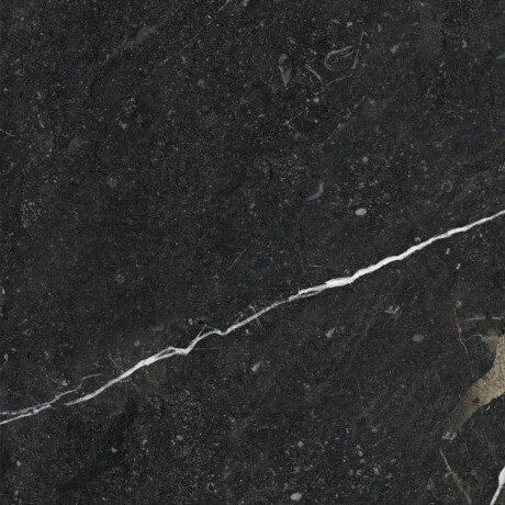 Ladrilho esmaltado para pavimento 60x120 com veios dourados, mate, retificado, A4H110 Pierre Black #20
