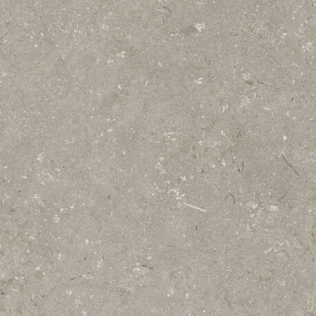 Ladrilho de grés para pavimento 60x120 cm, cor taupe mate, A4H1102 Shellstone Taupe #4