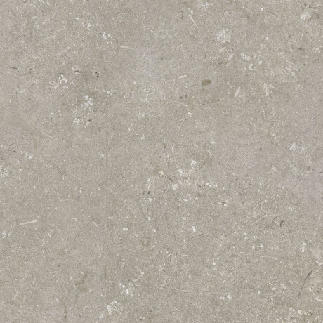 Ladrilho de grés para pavimento 60x120 cm, cor taupe mate, A4H1102 Shellstone Taupe #5