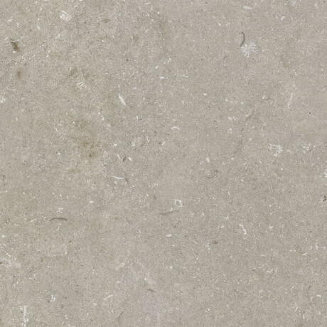Ladrilho de grés para pavimento 60x120 cm, cor taupe mate, A4H1102 Shellstone Taupe #6