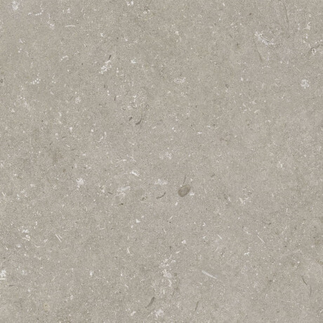 Ladrilho de grés para pavimento 60x120 cm, cor taupe mate, A4H1102 Shellstone Taupe #7