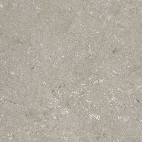 Ladrilho de grés para pavimento 60x120 cm, cor taupe mate, A4H1102 Shellstone Taupe #8