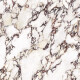 Pavimento de grés de grande formato 120x280, mármore com veios roxos, acabamento brilhante A4H840 Calakatta Wiola #4