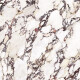 Pavimento de grés de grande formato 120x280, mármore com veios roxos, acabamento brilhante A4H840 Calakatta Wiola #6