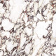 Pavimento de grande formato 120x280, mármore com veios roxos, acabamento mate A4H844 Calakatta Wiola #7