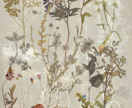Azulejo de porcelana para parede 60x120 cm, cinzento com motivos florais, acabamento mate A4H919 Glame
