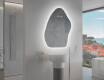 Espelho de Banheiro com LED em Formato Irregular G221 #9
