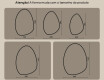 Espelho irregular com iluminação, 64×94 cm, bicolor, interruptor touch, tapete aquecedor #10