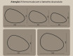 Espelho irregular com iluminação, 114×84 cm, bicolor, interruptor touch, tapete aquecedor #10