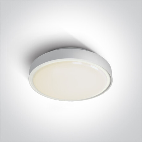 RAFTI AN candeeiro de teto 24 W 3000 K IP65 antracite #1