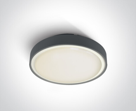 RAFTI AN candeeiro de teto 24 W 3000 K IP65 branco