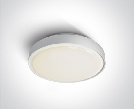 RAFTI E - candeeiro de teto 12 W, IP65, cinzento