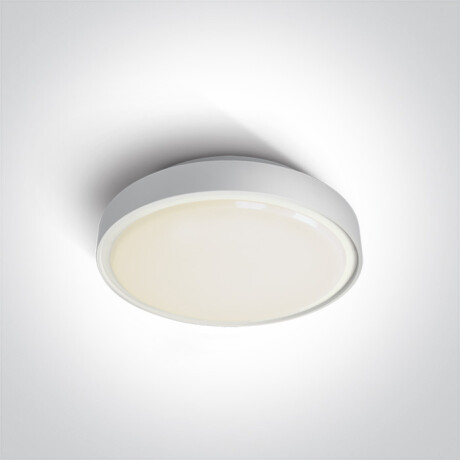 RAFTI E - candeeiro de teto 12 W, IP65, cinzento #1