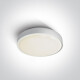 RAFTI E - candeeiro de teto 12 W, IP65, cinzento #1