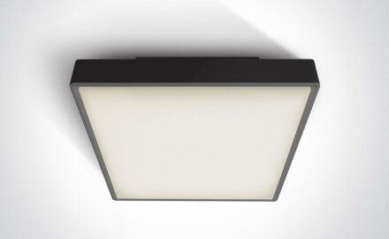 PIRNARI EA candeeiro de teto 2x12W E27 IP65 antracite