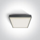 PIRNARI EA candeeiro de teto 2x12 W E27 IP65 branco #1
